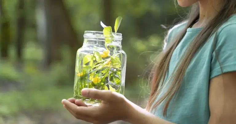 ¿Porqué celebramos el día del ambiente?